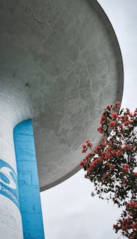 São José dos Campos