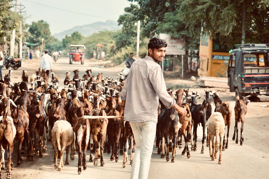 Livestock and Fisheries Development Program