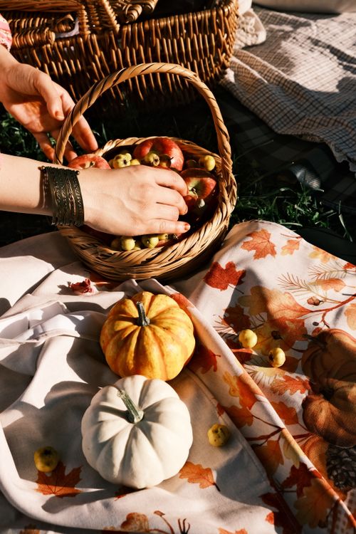 Free Rustic autumn picnic setting with pumpkins and apples in woven baskets. Stock Photo