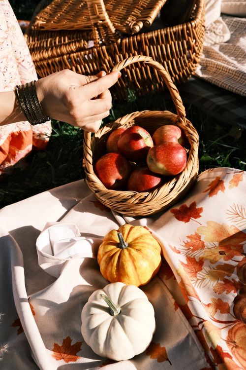 Free A cozy autumn picnic featuring apples and decorative pumpkins, capturing the essence of fall. Stock Photo