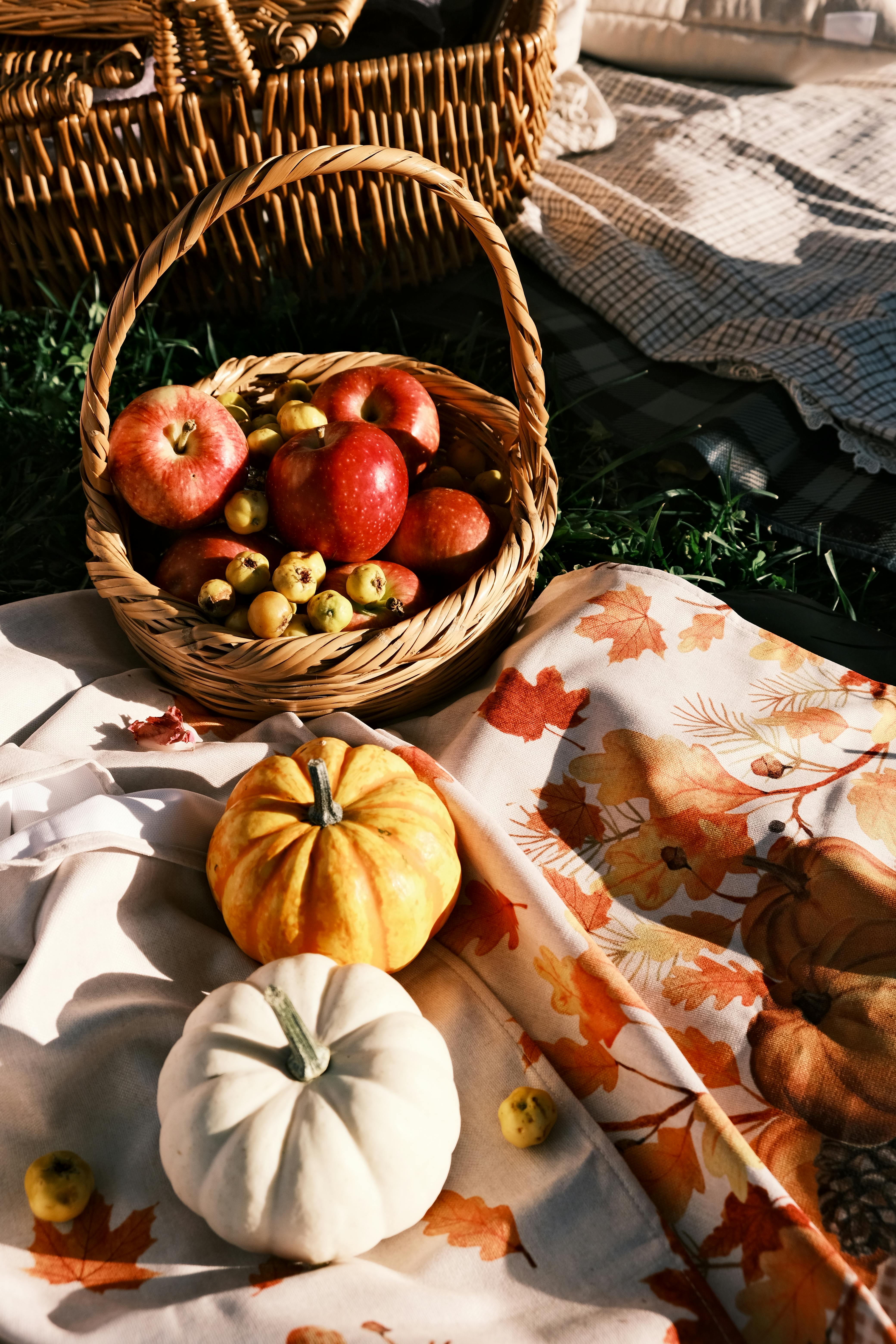A cozy autumn picnic setup featuring apples in a basket and pumpkins on a blanket.