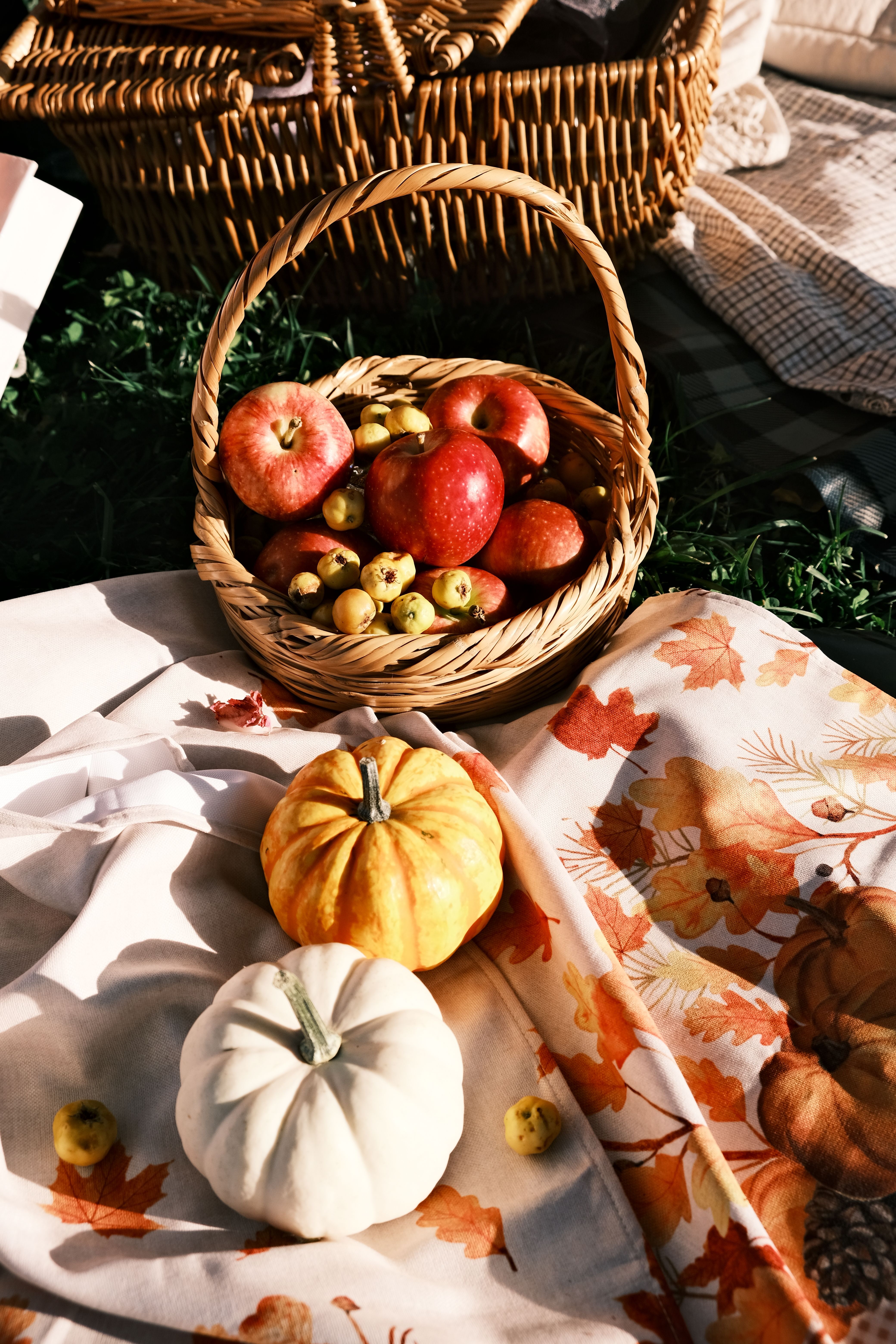 Capture the essence of fall with a wicker basket of apples and gourds on a festive blanket.