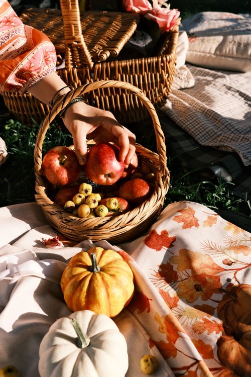 Free Cozy autumn picnic setting featuring apples and pumpkins in warm sunlight. Stock Photo