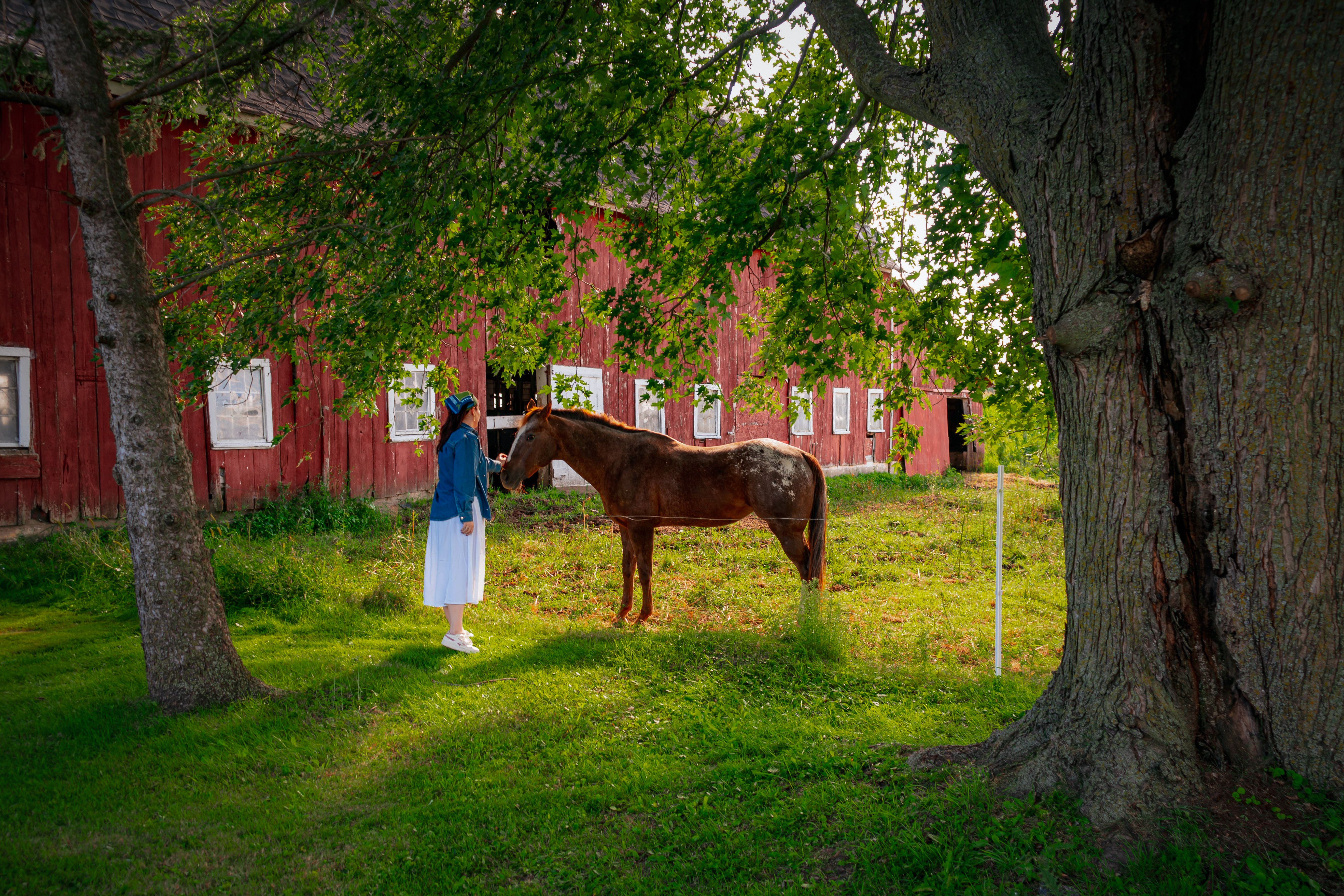 woman in a barn coat holding a small terrier outside a red farm building