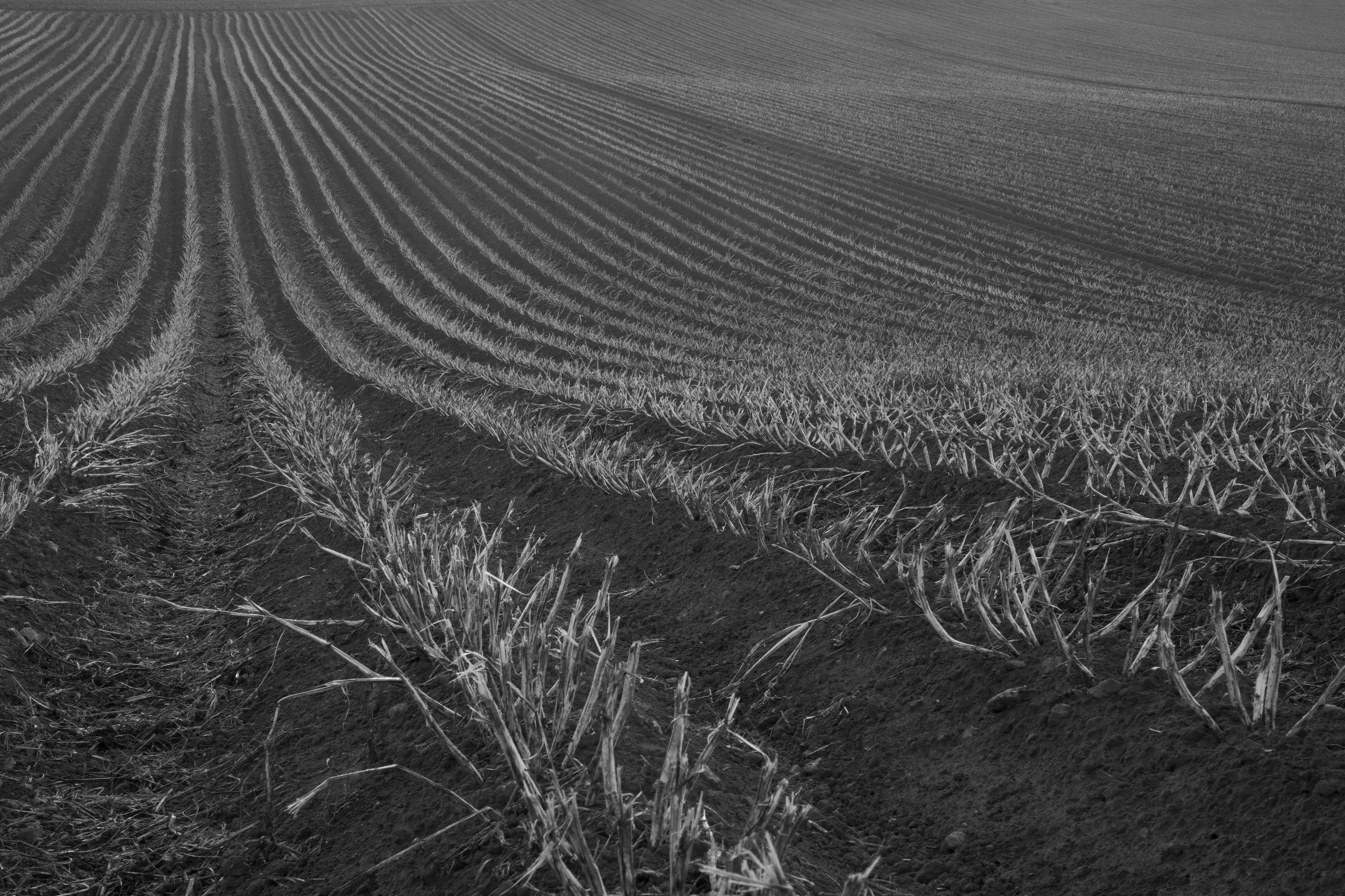 Creative Closet Ideas & Organization Tips