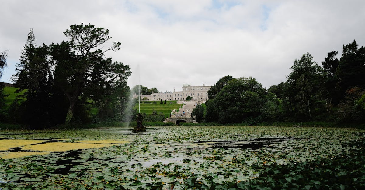 政治:前鎮親水公園弊案疑雲 藍營議員指控原民會包庇不作為
