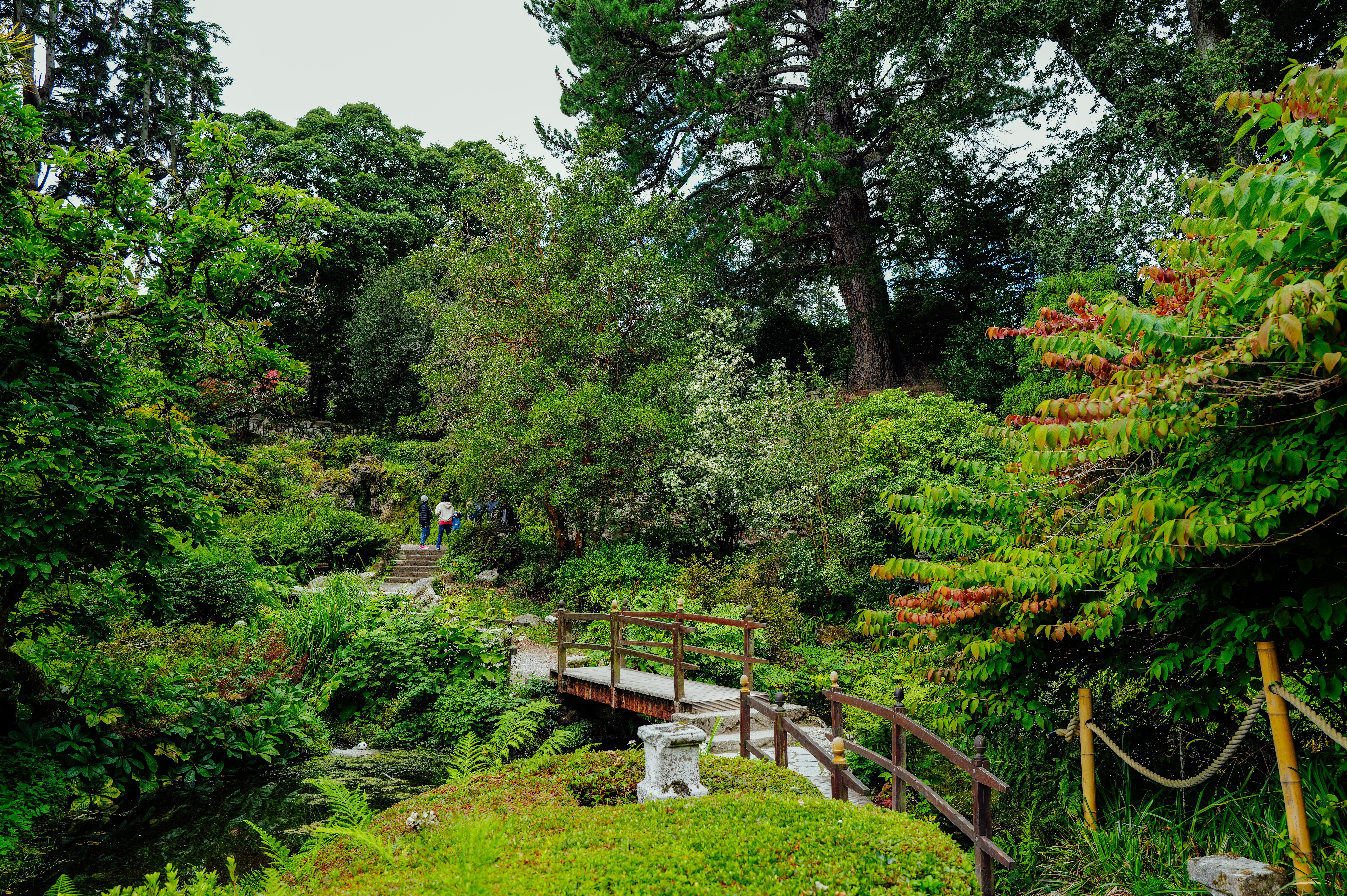 Join the Cleveland Garden Walk Tomorrow