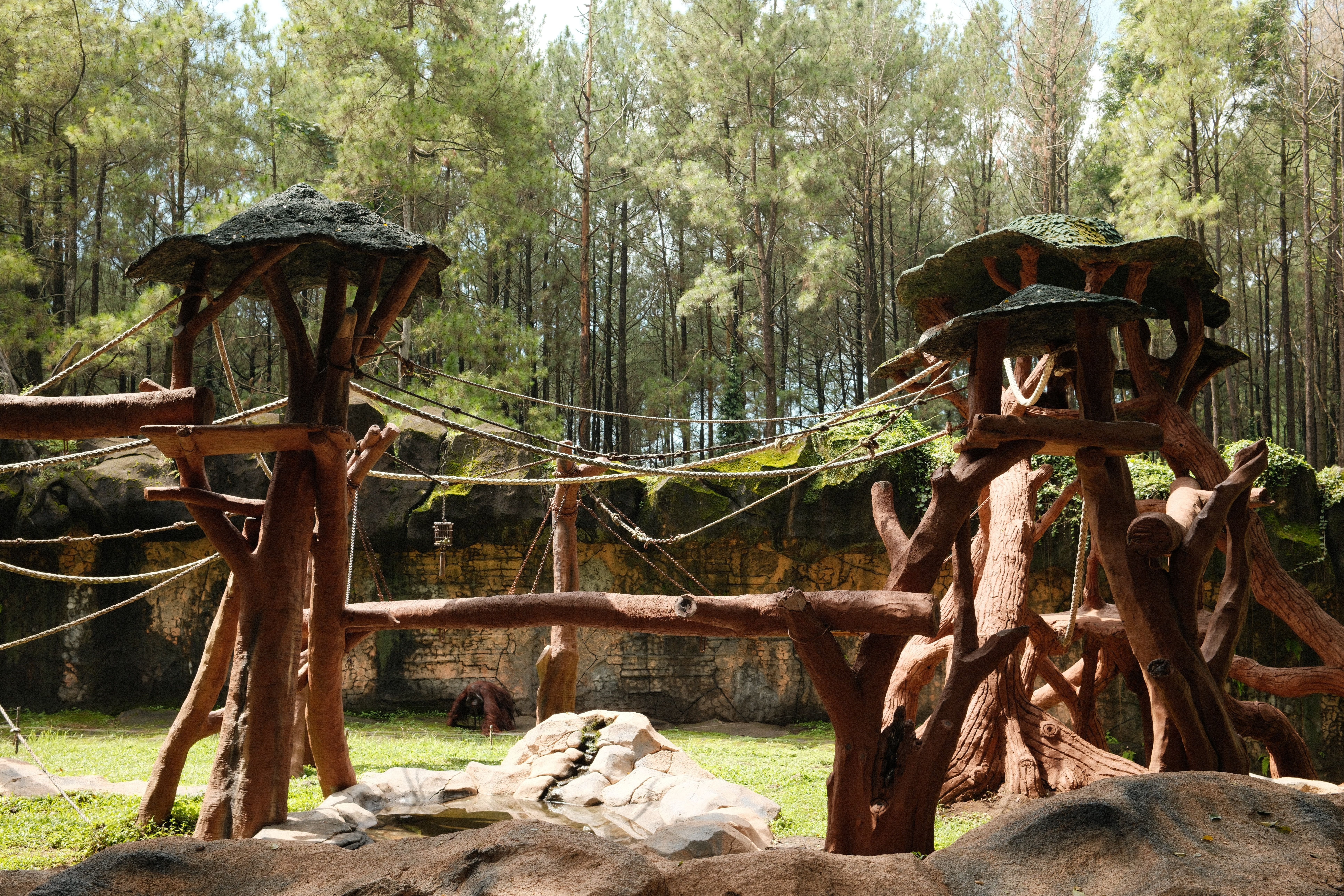 Adventure Courses