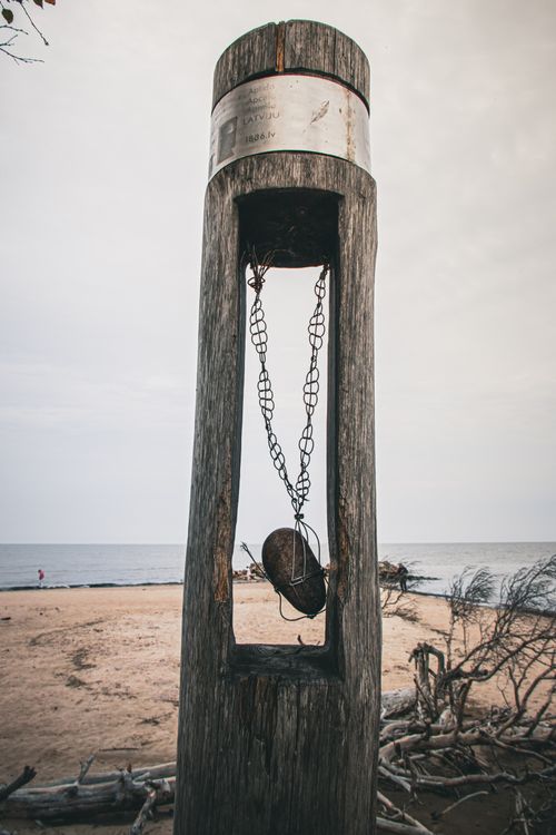 Free A unique driftwood sculpture with chains on a serene beach, capturing coastal artistry. Stock Photo