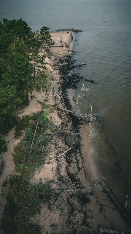 Free Peaceful aerial shot of a sandy shoreline with scattered trees and calm waves, perfect for nature themes. Stock Photo