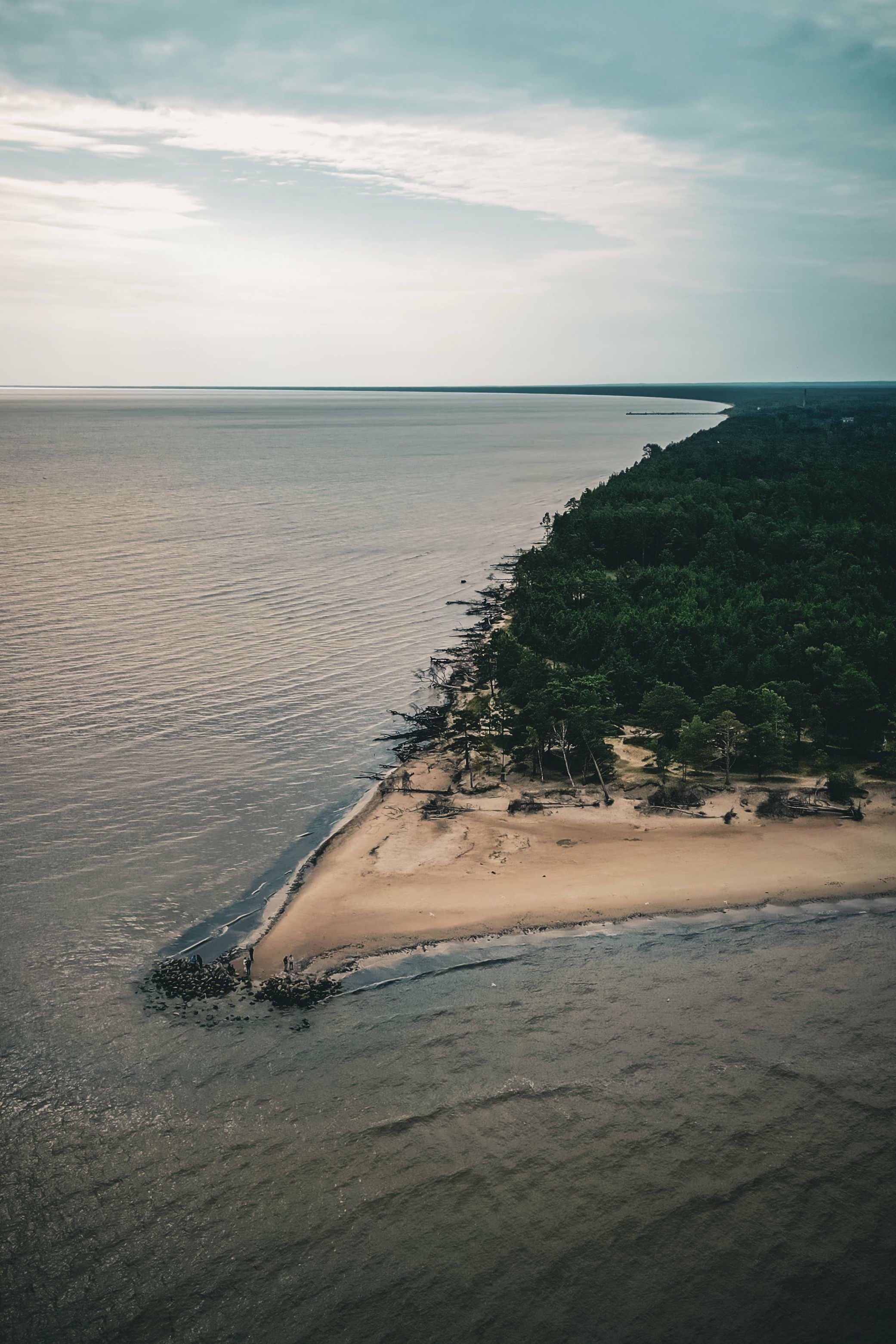 Aerial View of Serene Sandy Shoreline with Trees · Free Stock Photo
