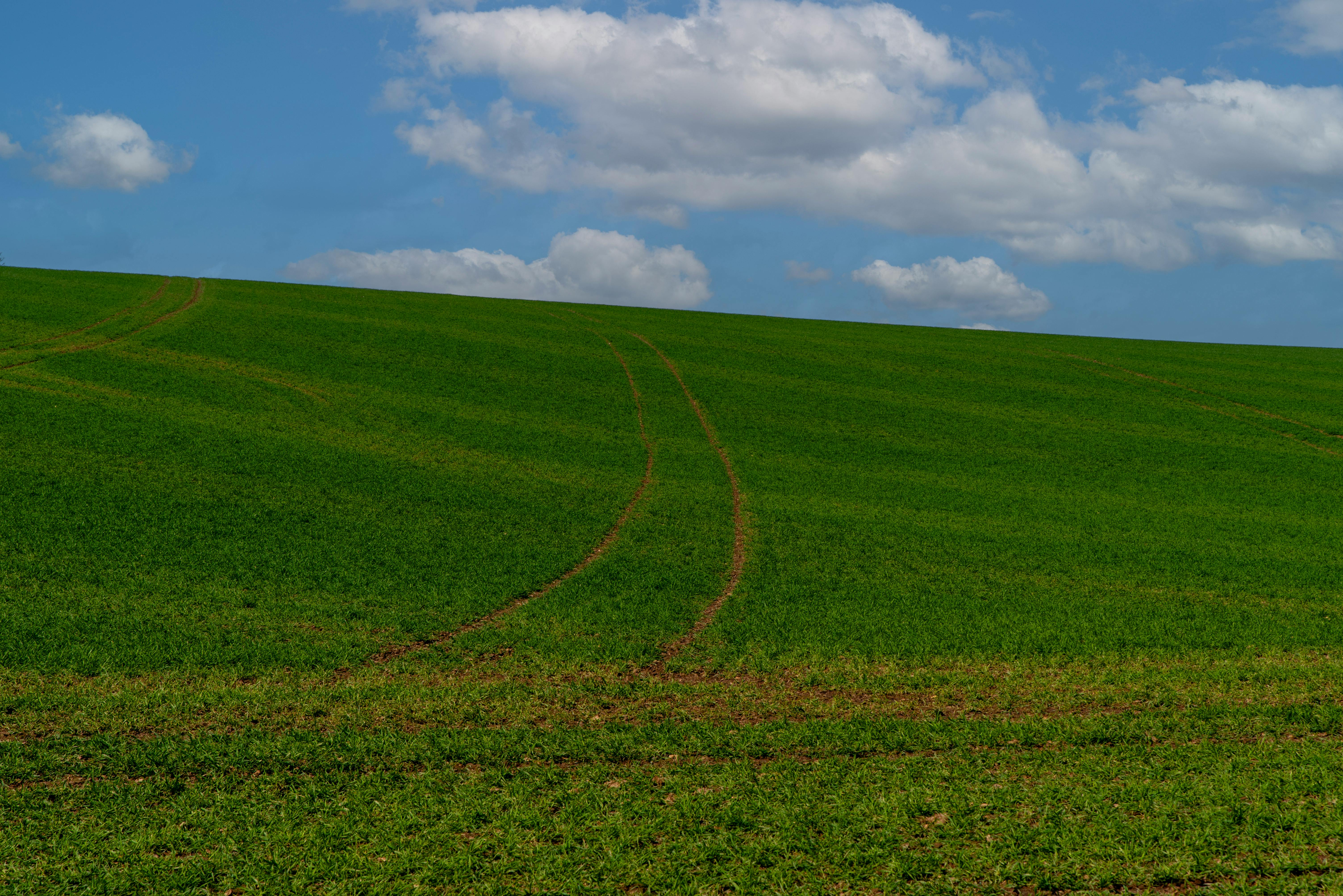 The green mile: charting the bumpy road to sustainable urban mobility — Photo by Jan van der Wolf on Pexels