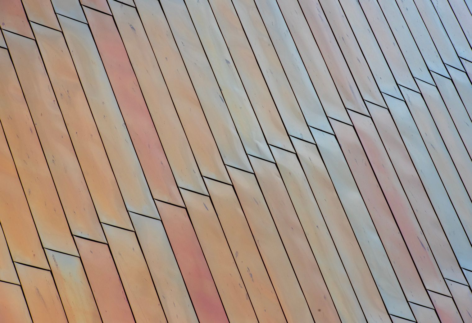 Fence and Decking Painting in Uxbridge — dust sheets down and the room fully protected