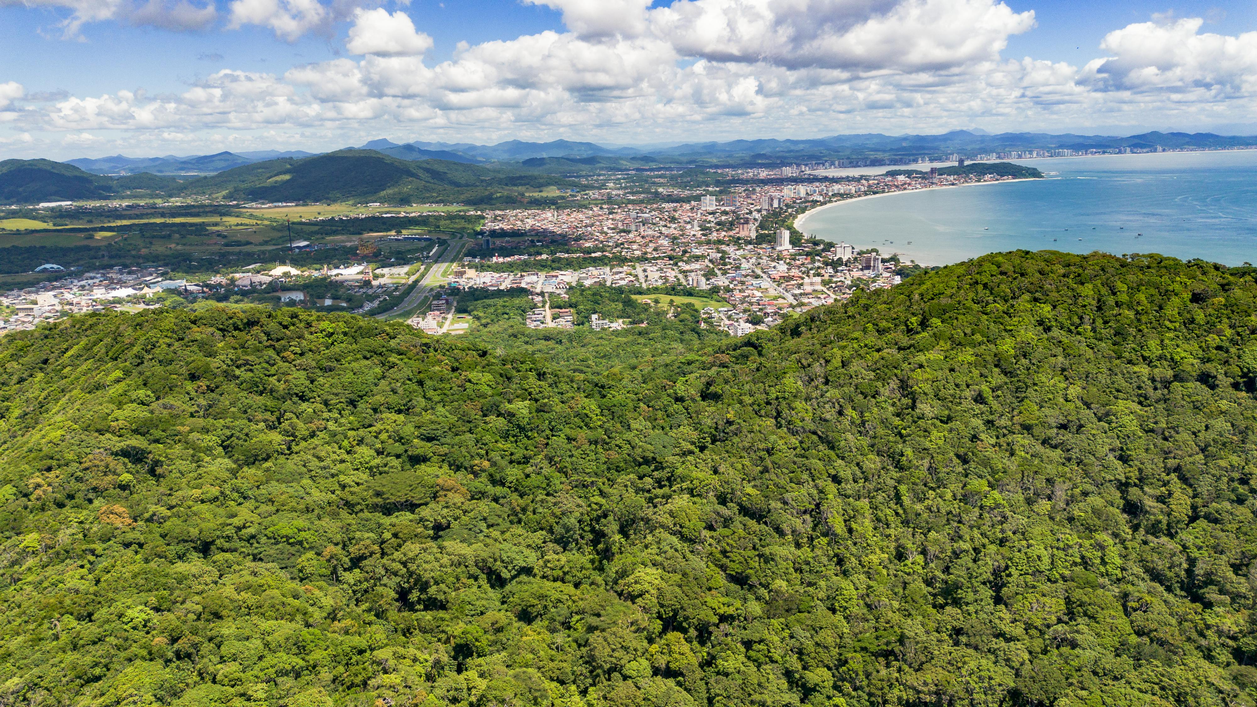 Gratis Una splendida vista aerea di una città costiera circondata da lussureggianti colline verdi e dall'oceano. Foto a disposizione
