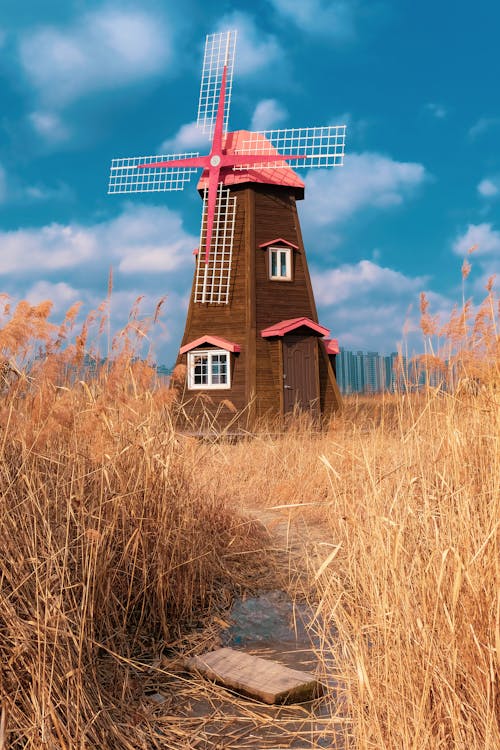 Maison En Bois Marron Et Rouge