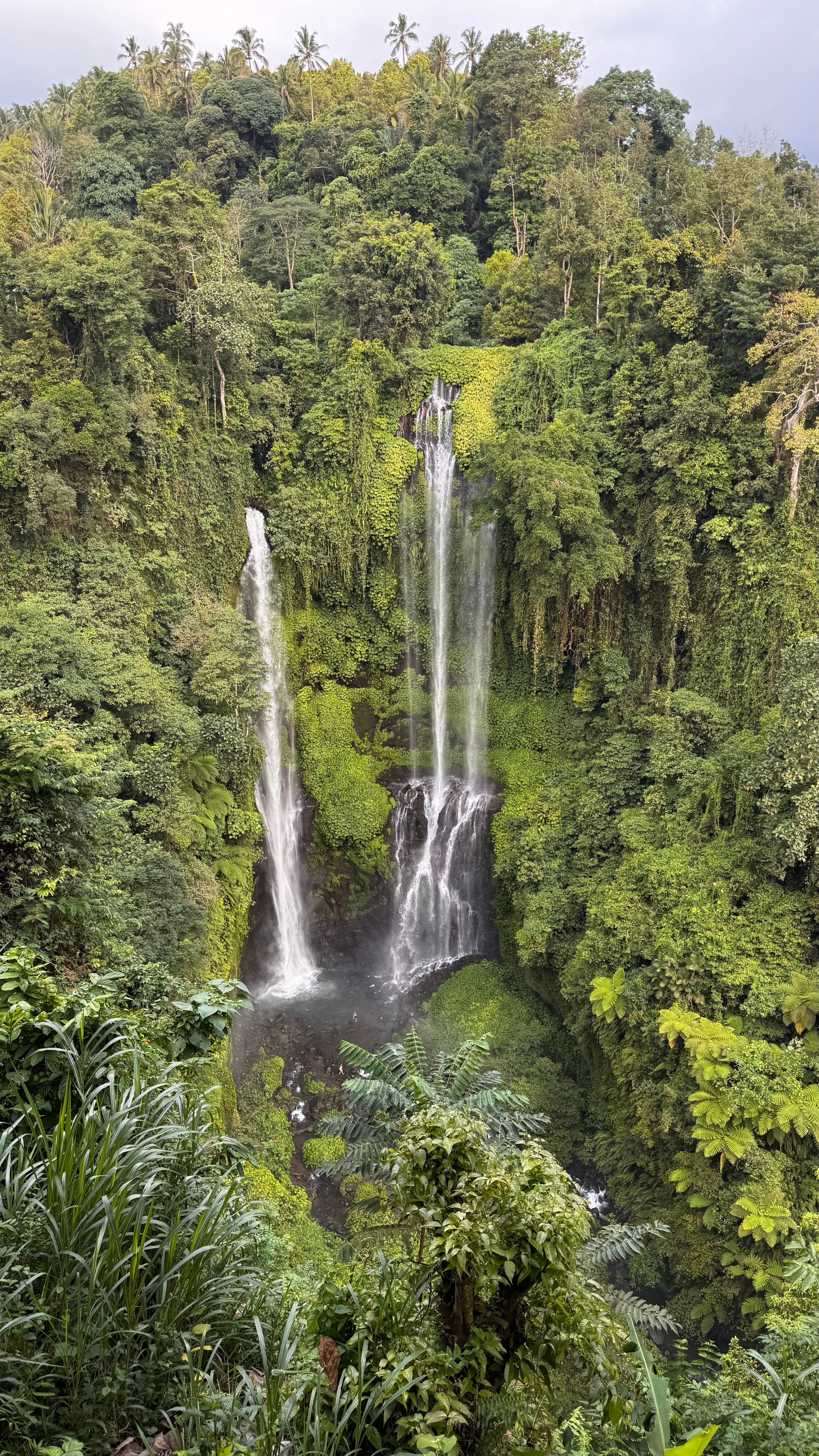 Sekumpul waterfall's multiple strands dropping into a forested valley in north Bali, one of the best Bali waterfalls to chase