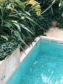 Serene swimming pool surrounded by tropical plants, offering a peaceful escape.