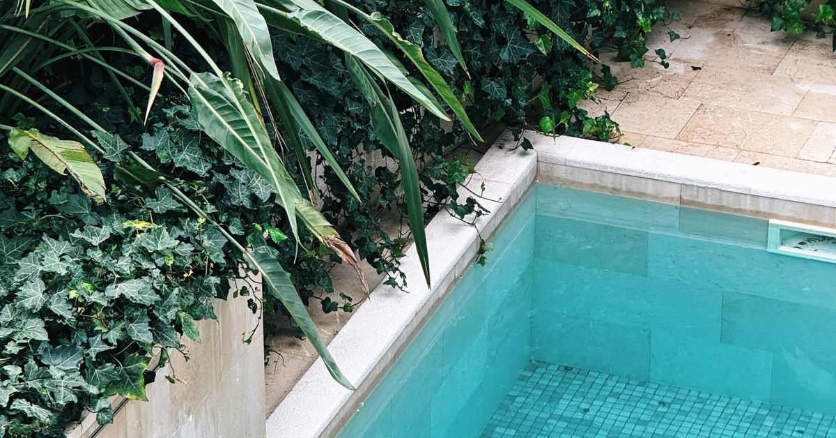 Jardim tropical ao redor da piscina Piscina cercada por plantas tropicais em clima tranquilo