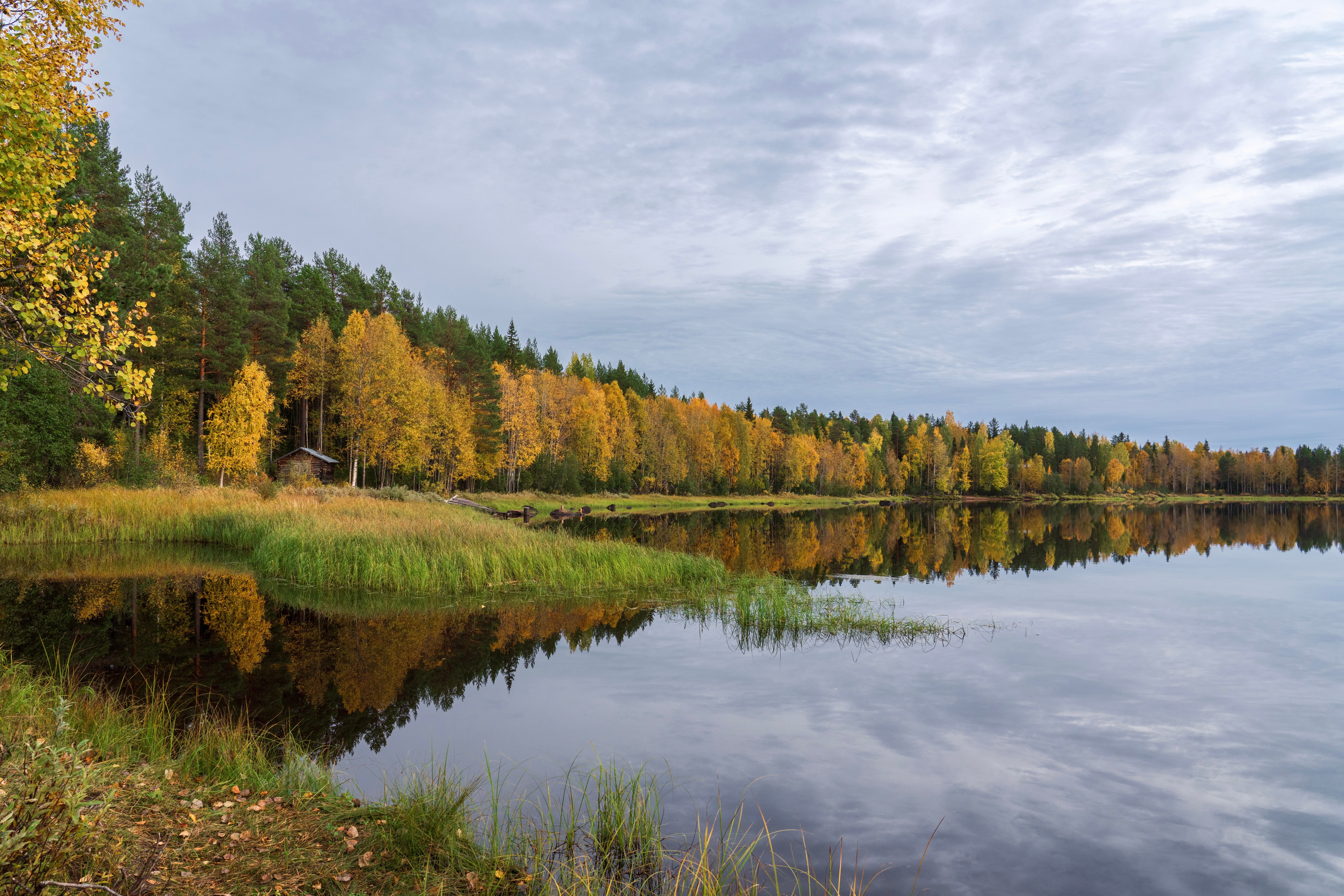 4 Day Inner Evolution Master Plant Retreat in Finland 1