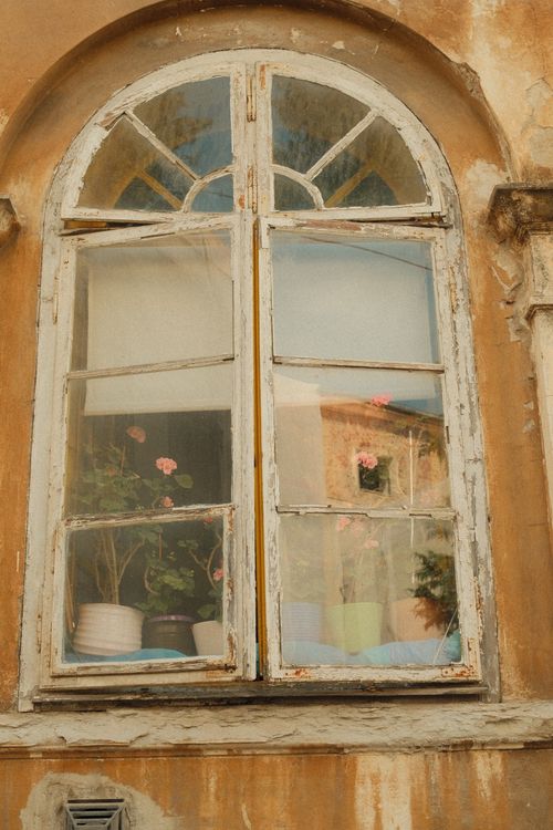 Free An old, rustic window with flowers, peeling paint, and sunlight streaming through. Stock Photo