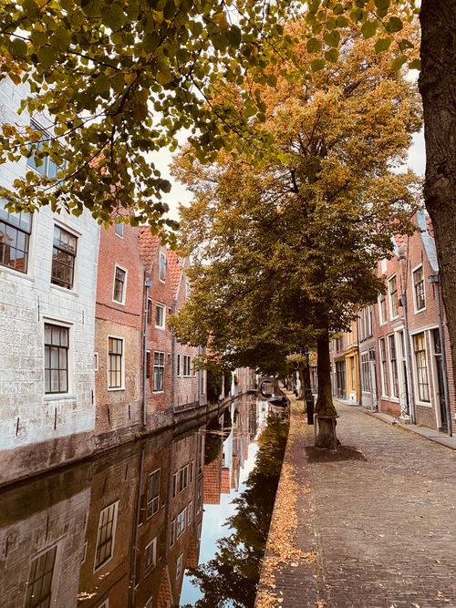 Free Picturesque canal street scene with autumn trees and historic buildings in a European town. Stock Photo