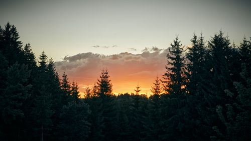 Free Beautiful orange sunset over a forest in Germany, captured with a warm and vibrant atmosphere. Stock Photo