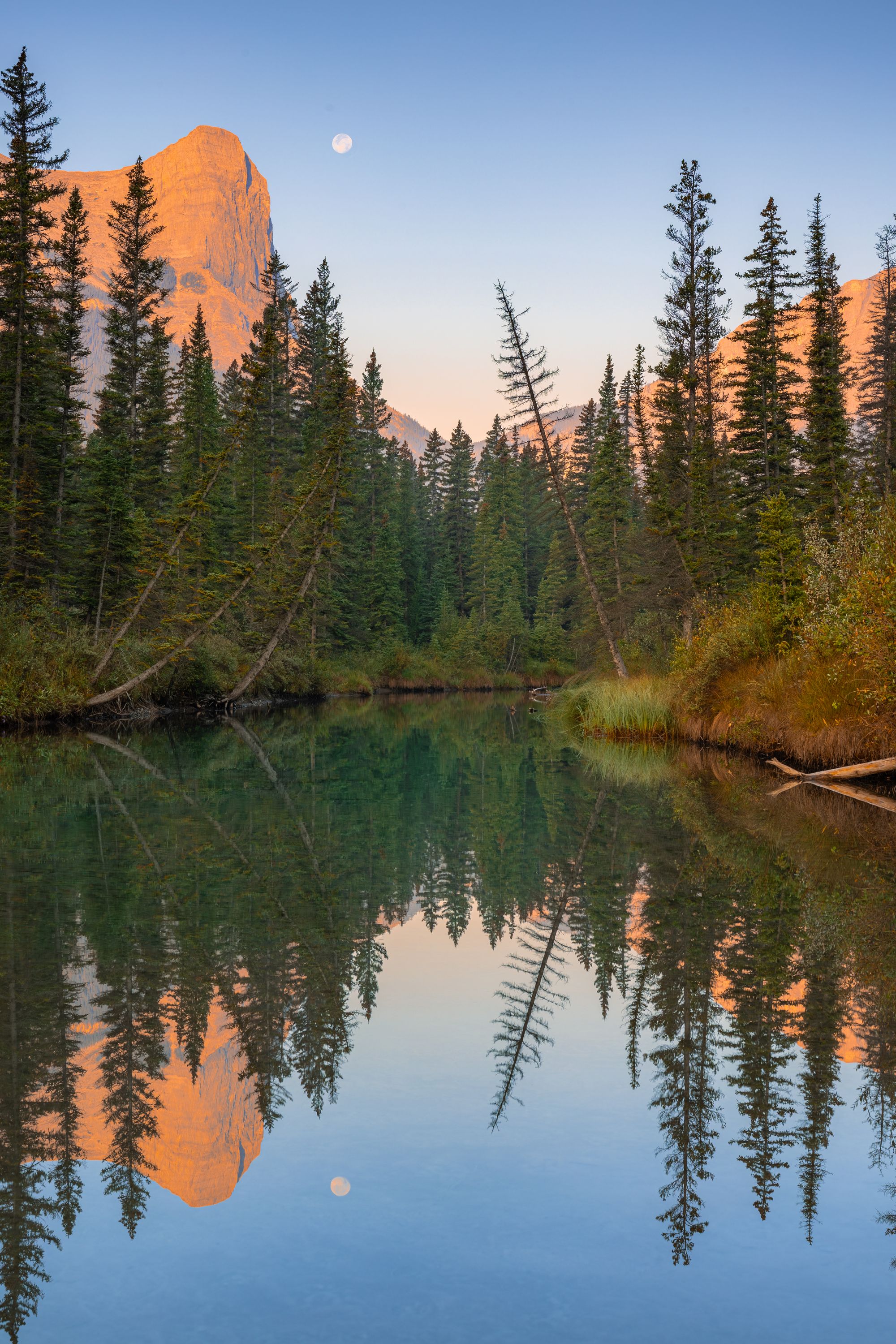 Canadian Rockies reflected in still water at sunrise