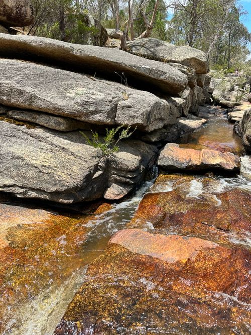 Free Picturesque rocky stream flowing through a lush forest setting. Stock Photo