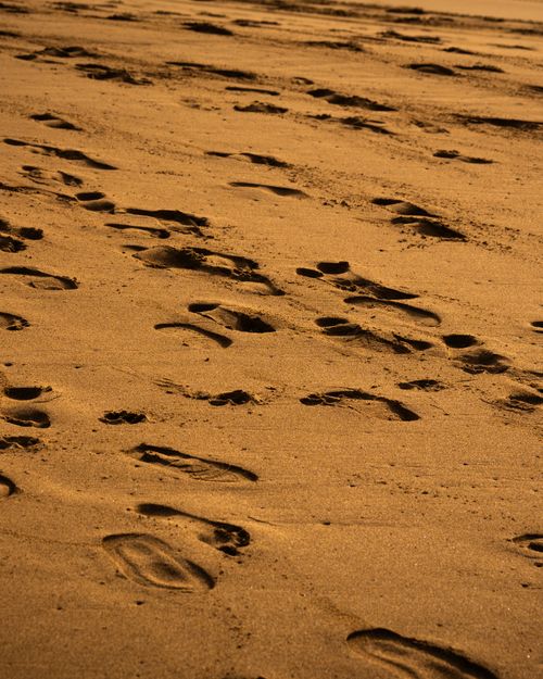 Free Scenic view of footprints in golden sand during a warm sunset on the beach. Stock Photo