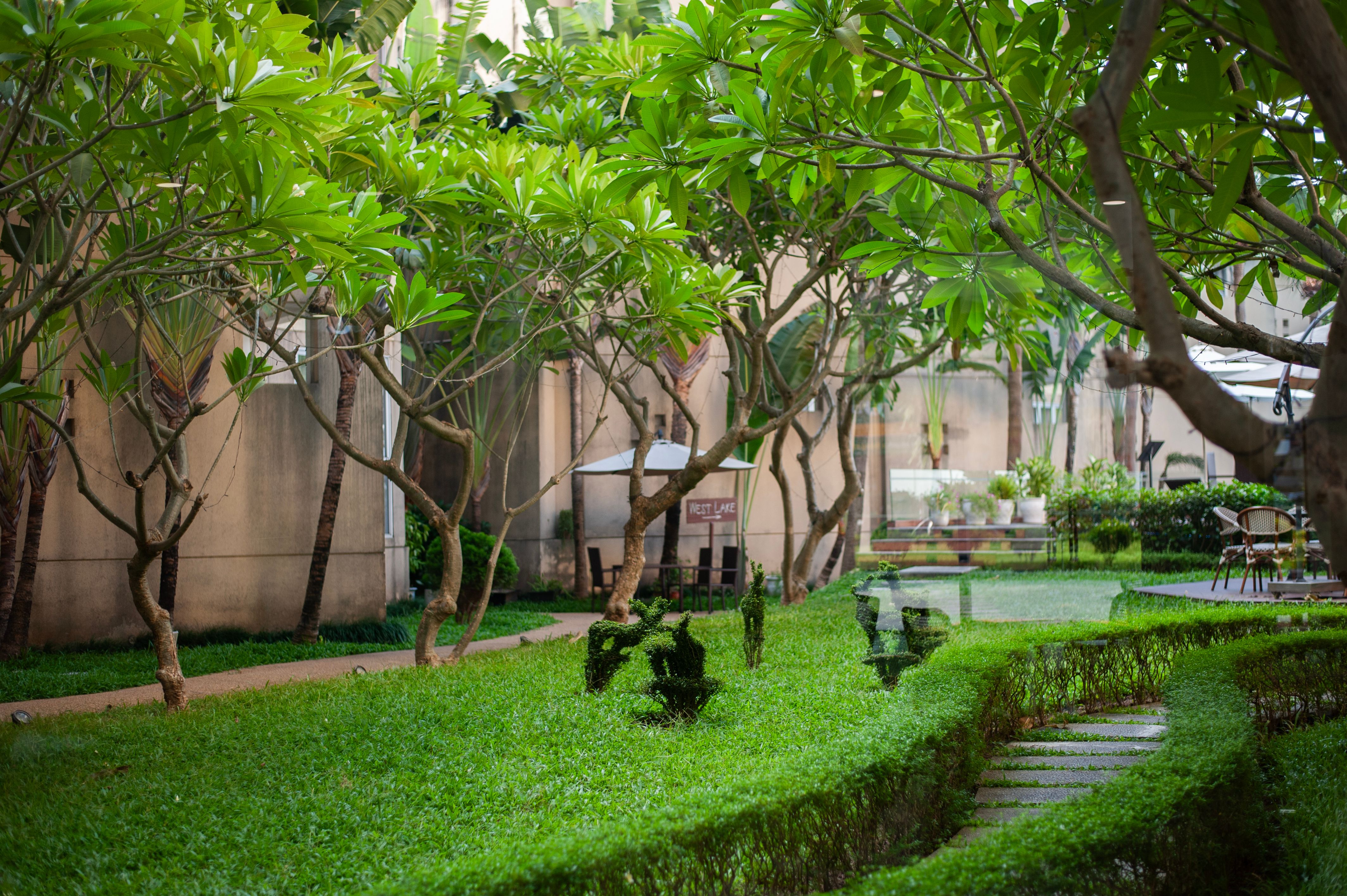 Lush Green Garden with Pathway and Trees · Free Stock Photo