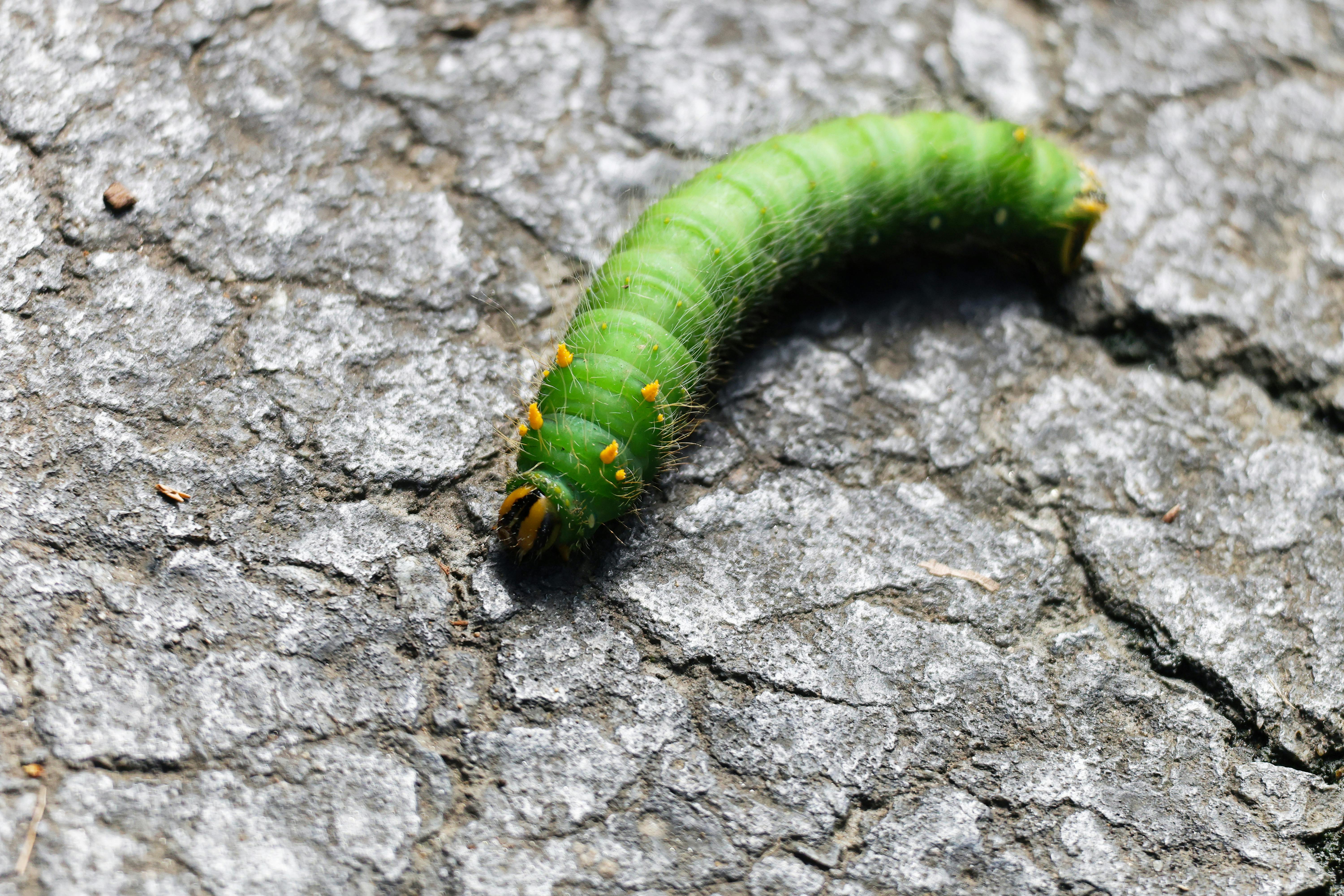 臺南沙崙引領AI時代 打造智慧綠能科技新城
