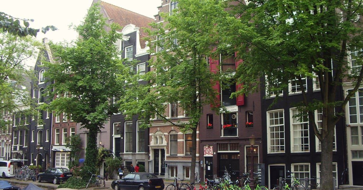 Free stock photo of amsterdam, International Budget Hostel, Nederland