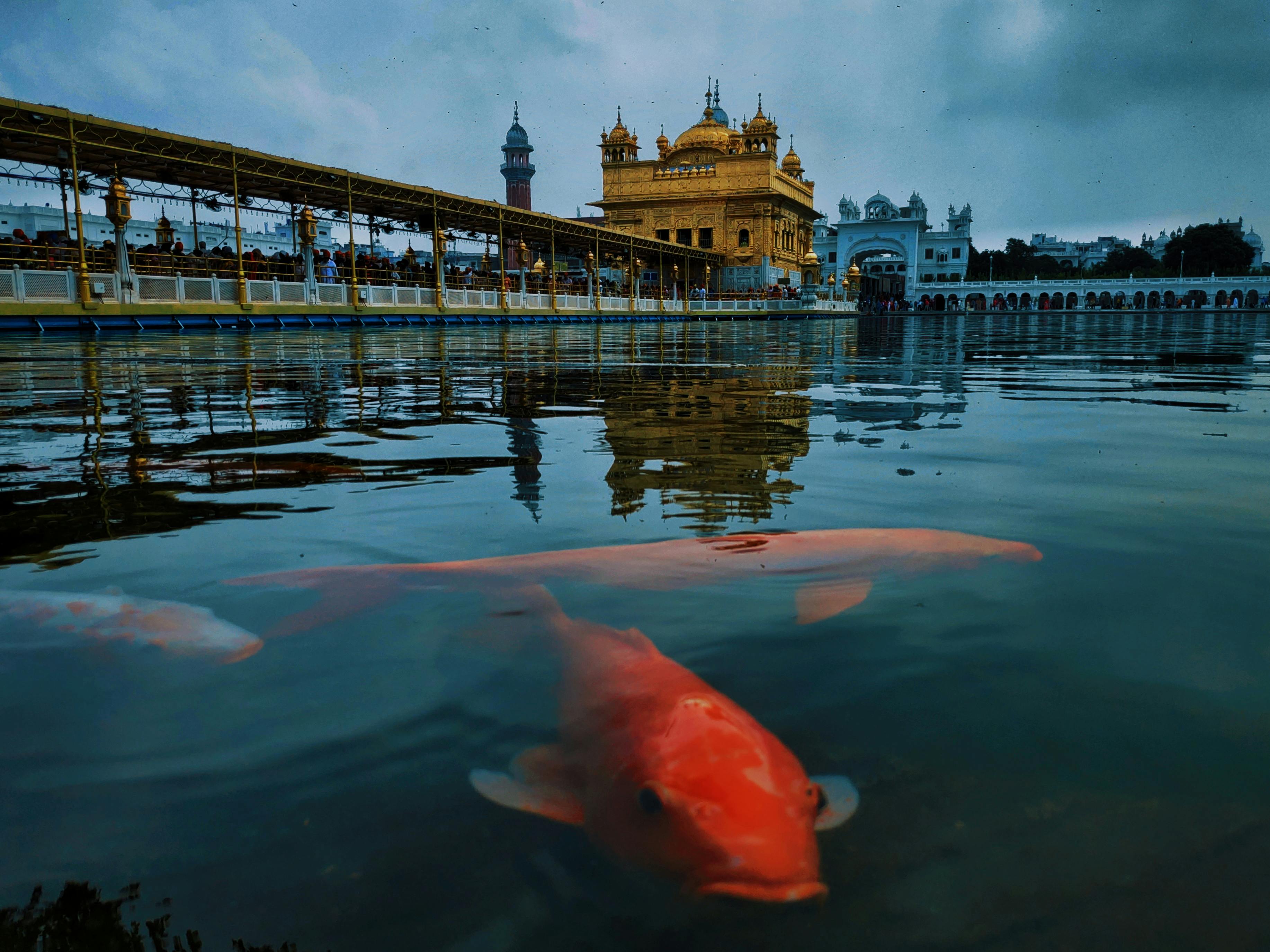 来自 Arun 的免费素材图片 · Pexels