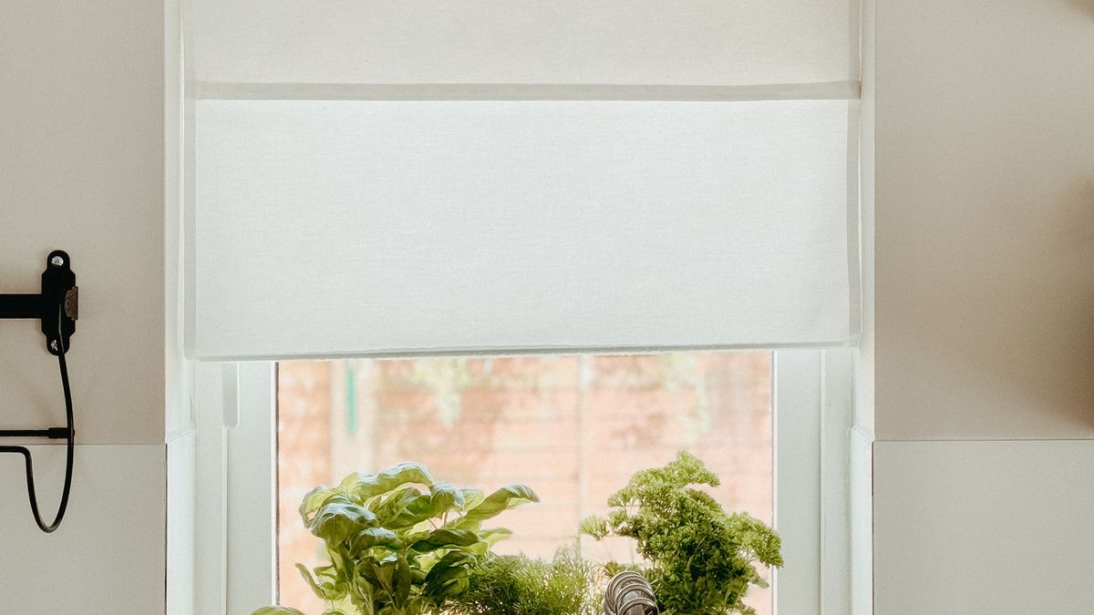 Choisir les meilleures plantes aromatiques pour un balcon en été