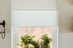Bright kitchen window with fresh herbs in a yellow pot, perfect for home cooking enthusiasts.