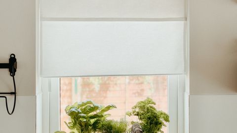 Bright kitchen window with fresh herbs in a yellow pot, perfect for home cooking enthusiasts.