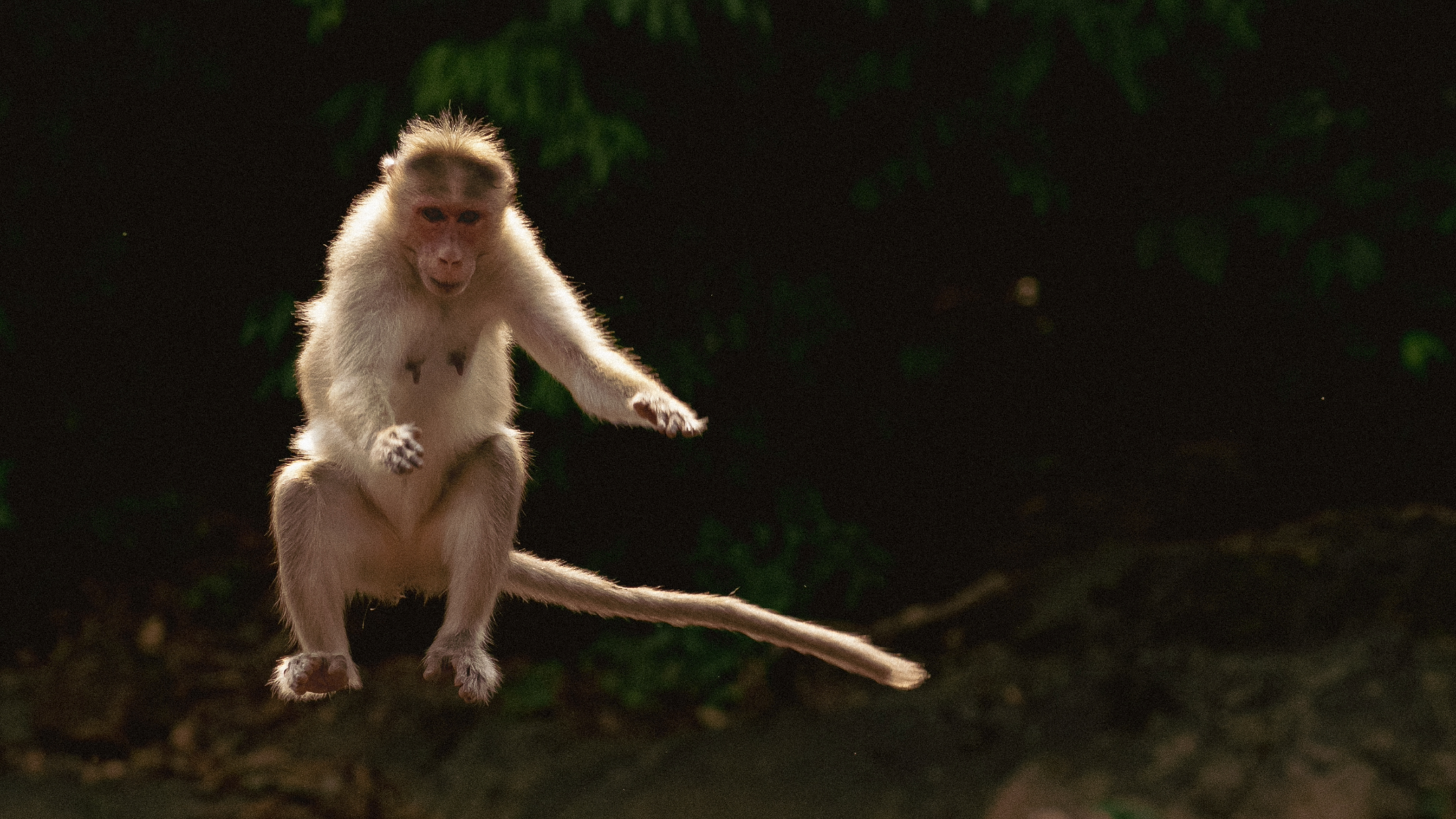 A Leap Of Faith