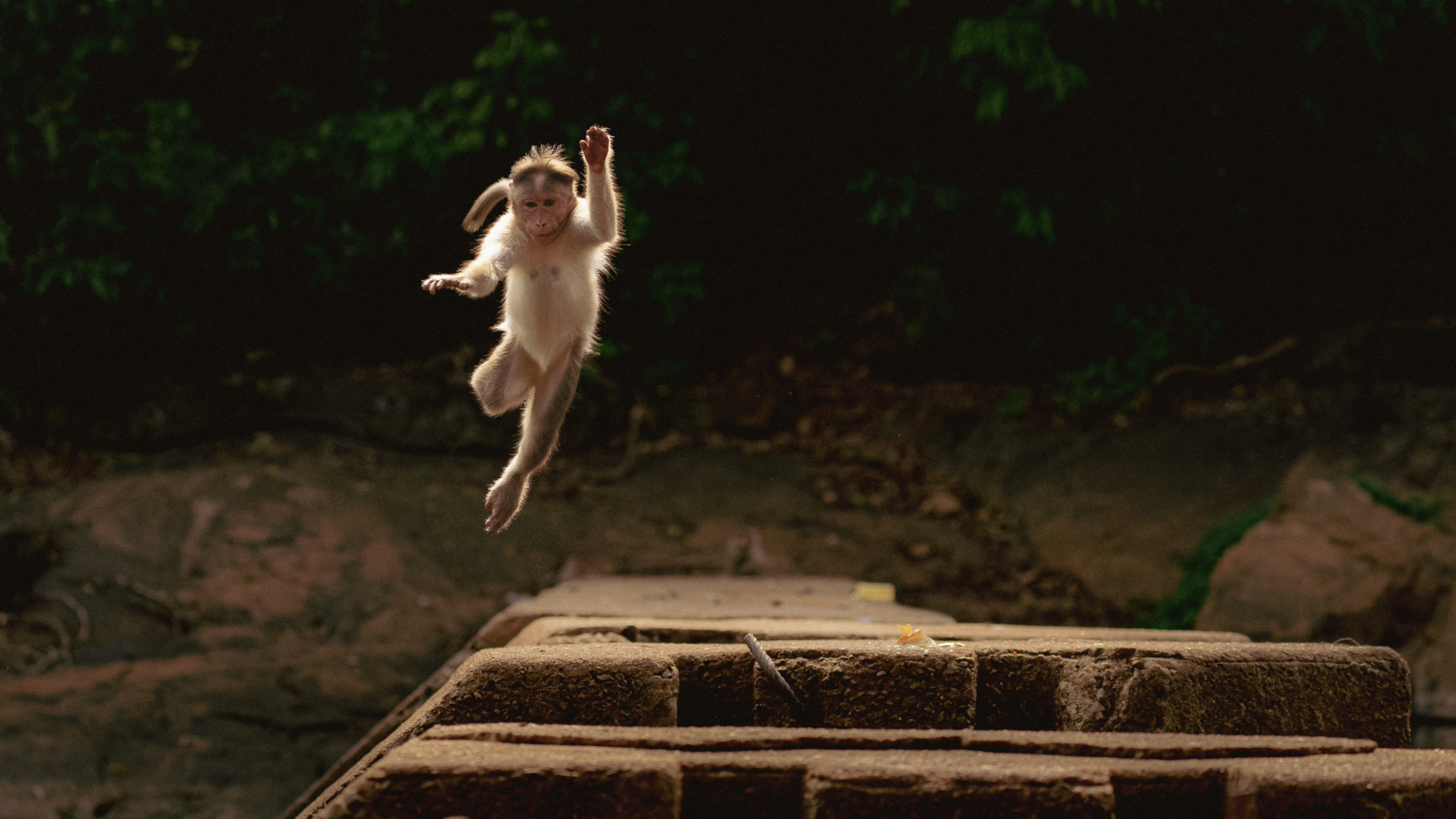 A Leap Of Faith