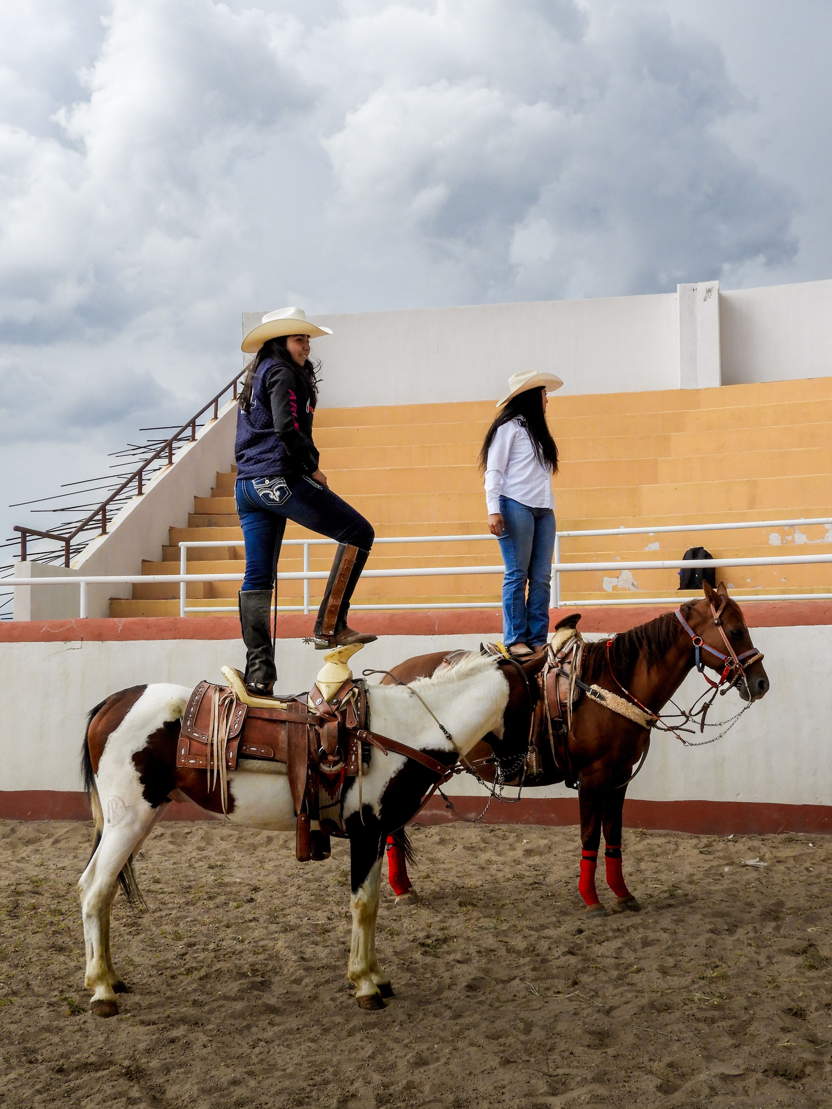 Women Performing Horseback Riding Stunts in Italy · Free Stock Photo