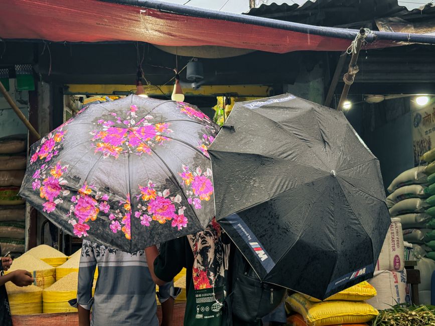 double layer inverted umbrella