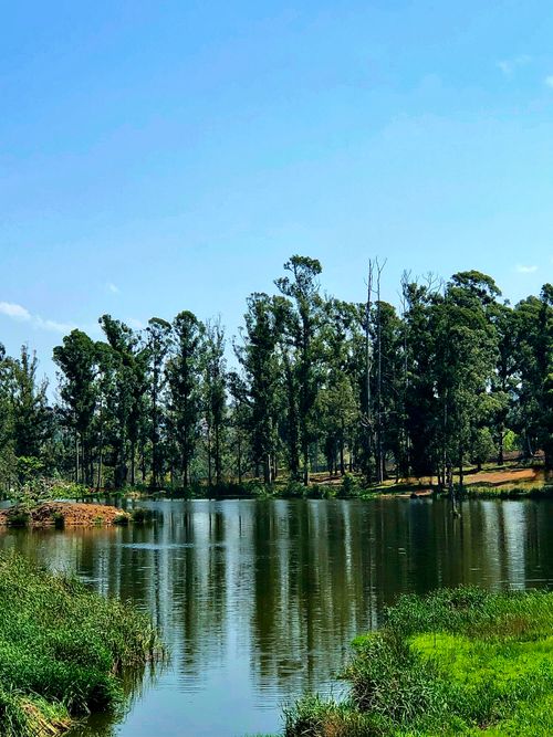 Free Lake Stock Photo
