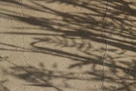 Play of Shadows on Cracked Concrete Surface