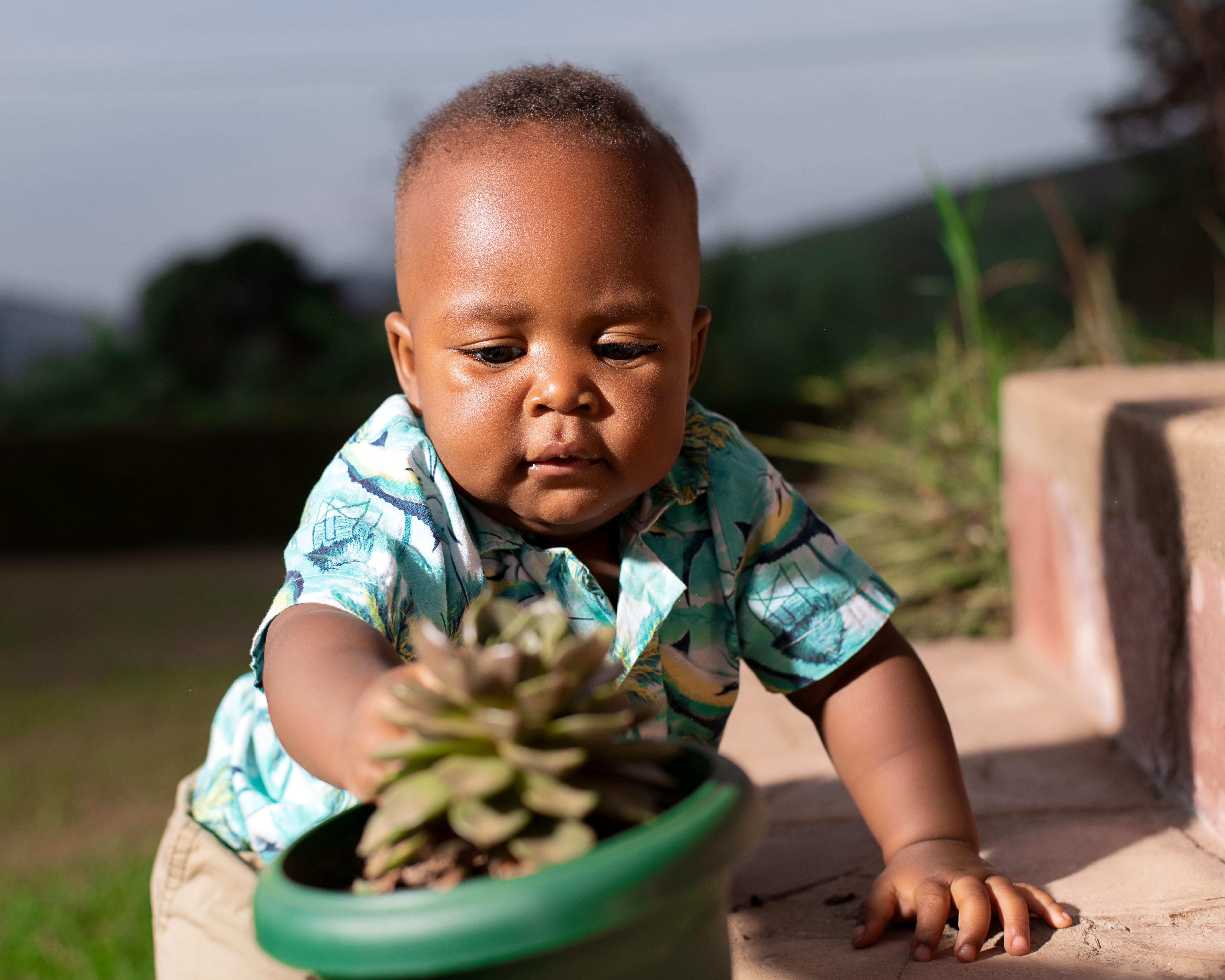 Curious Baby Exploring Outdoors with a Succulent · Free Stock Photo
