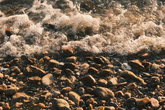 Pebble Island Settlement