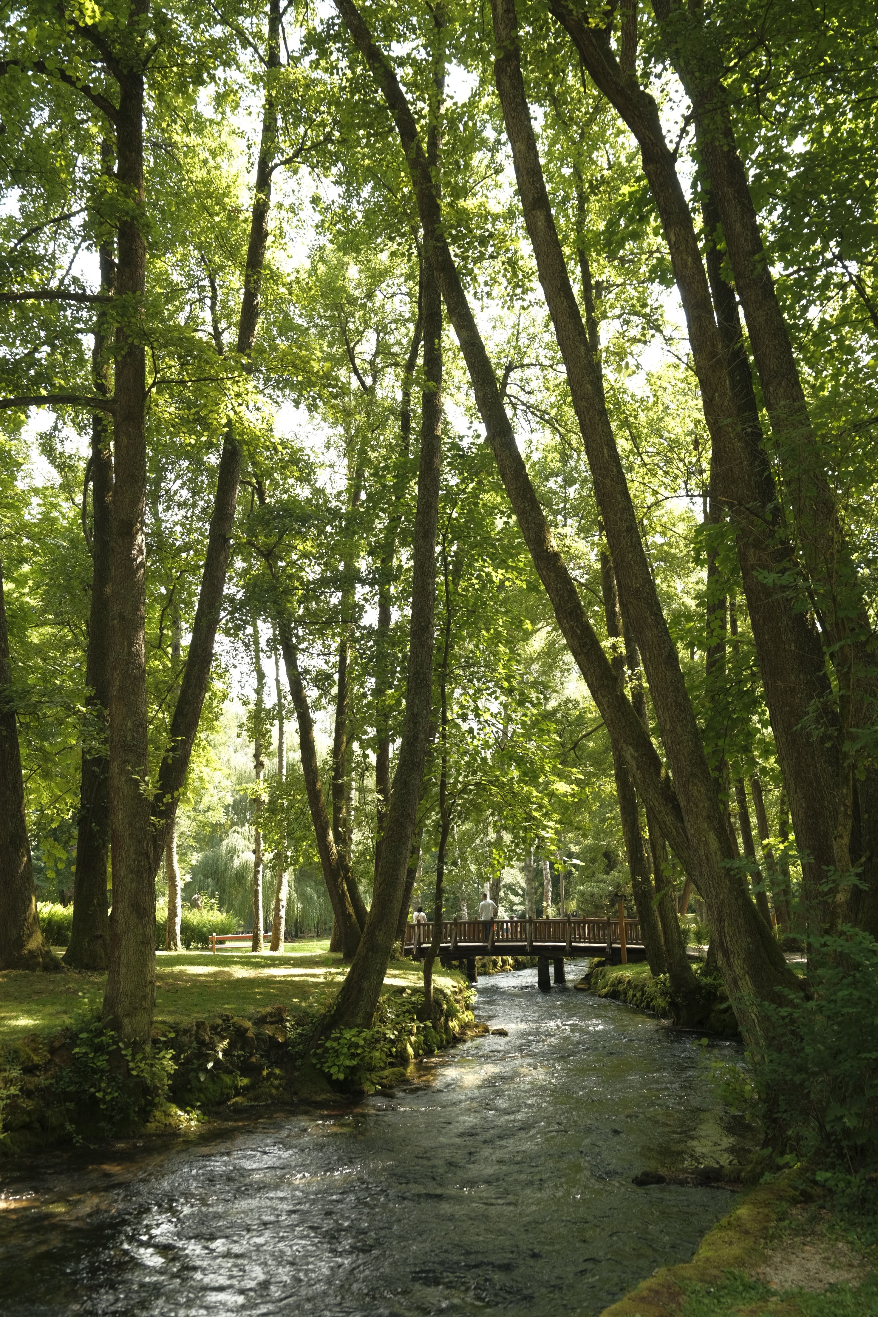 Great Smoky Mountains National Park visitor guide and facts