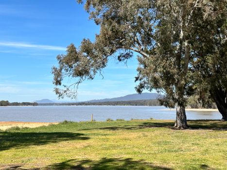 Peaceful lakeside scene with eucalyptus trees and distant hills in Victoria, Australia.