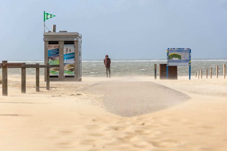 Windswept beach scene with a lone figure walking along a sandy path in a coastal area