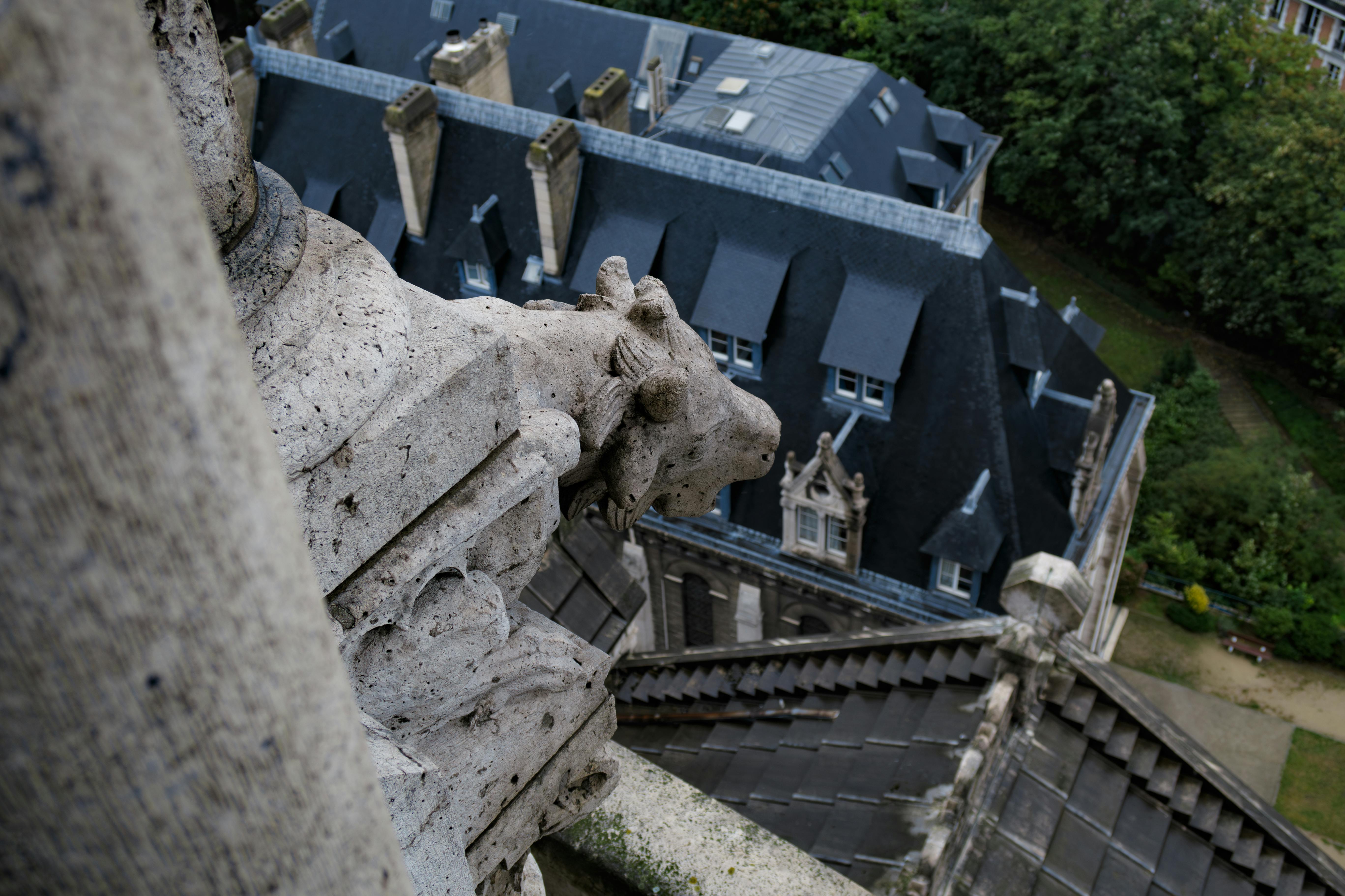 Jardines Art Nouveau: Diseño Orgánico, Composición Vegetal y Sostenibilidad Regional