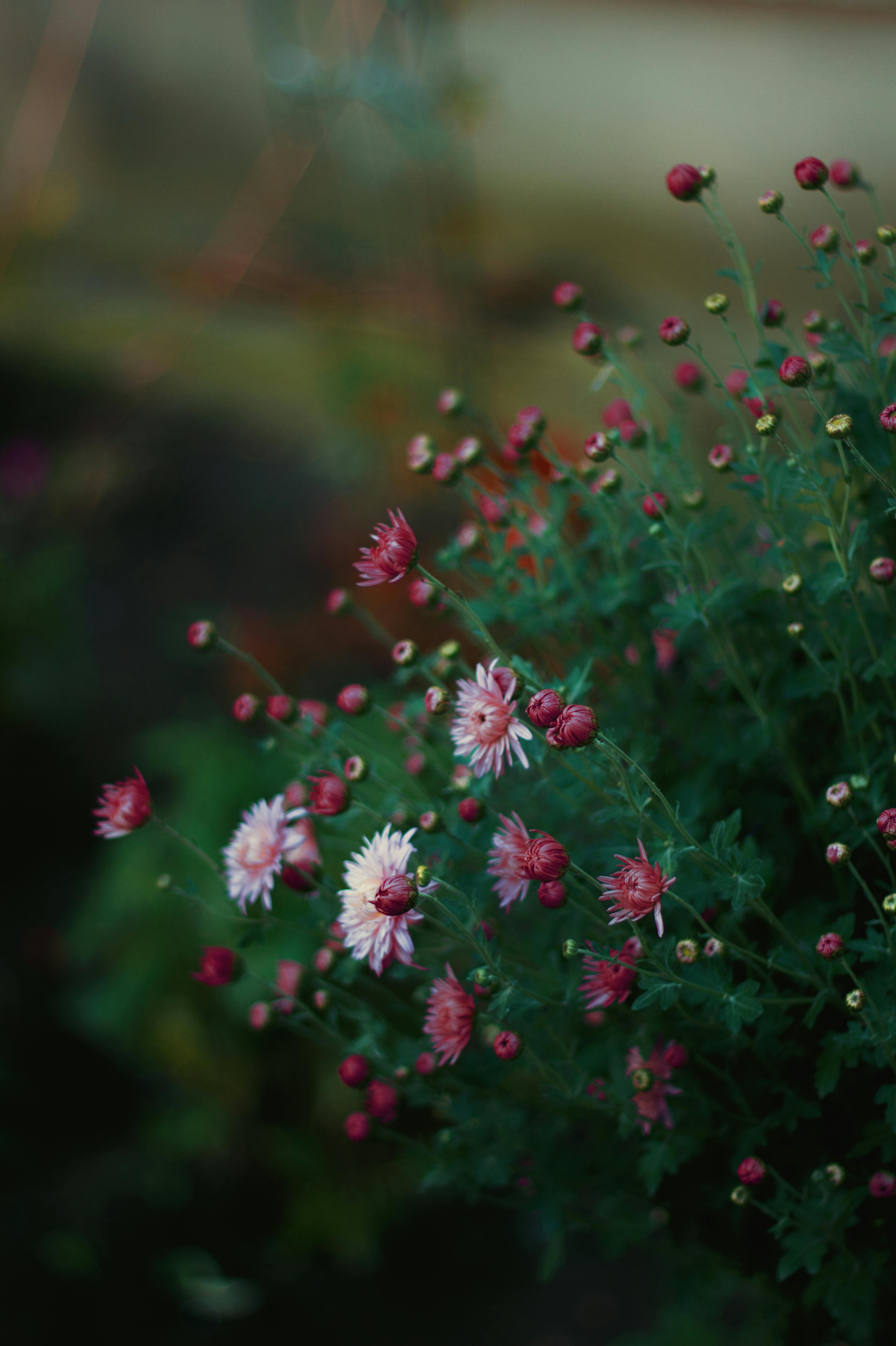 sample-blog-title-placeholder-2