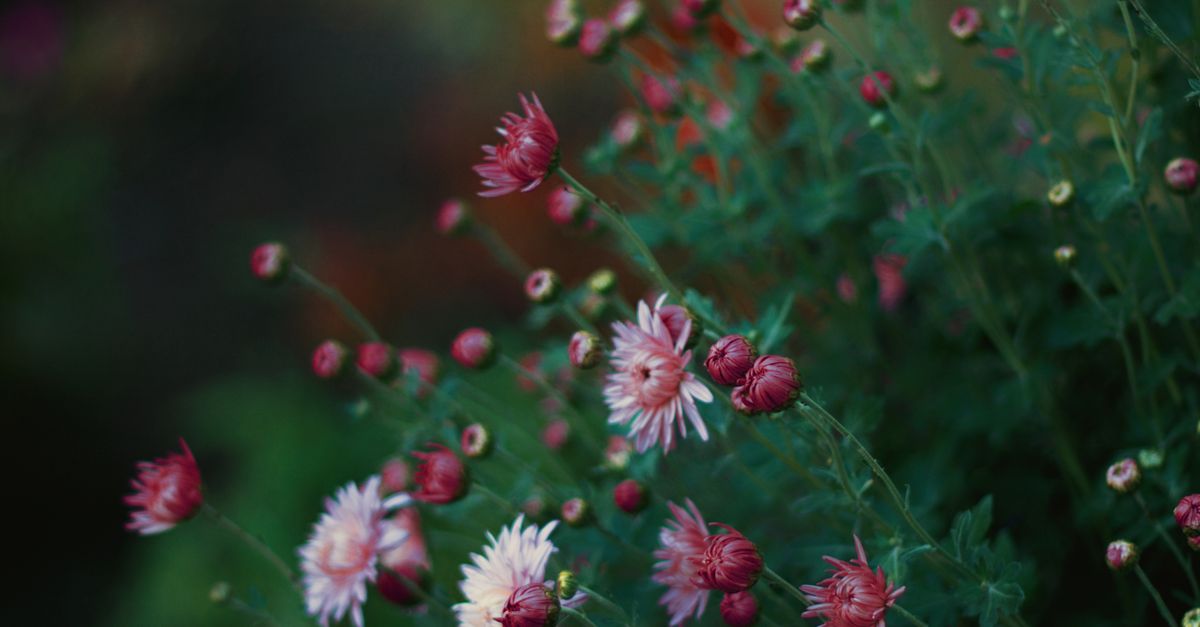 sample-blog-title-placeholder-2